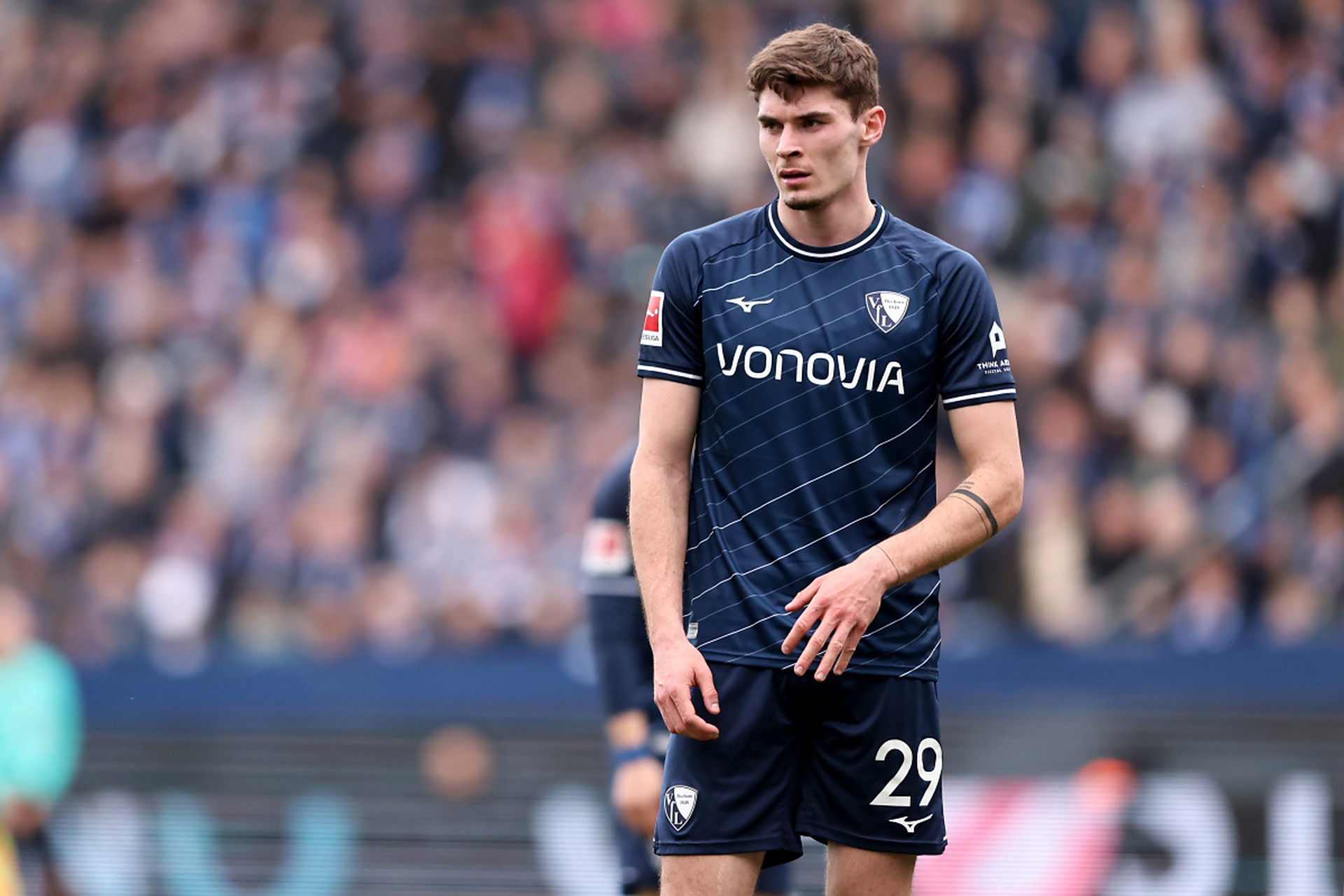 在分析她们 在分析她们