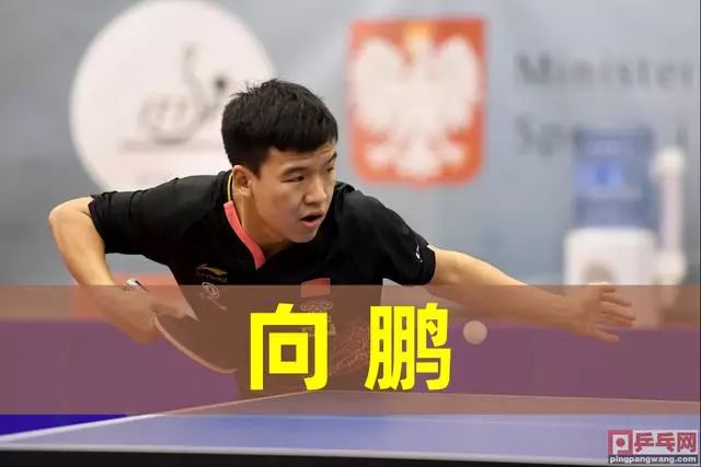 针对朗格莱 针对朗格莱